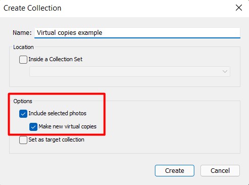 Virtual-copies-collections3.jpg
